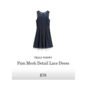 NWT Truly Poppy Gray Pom Mesh Lace Detail Dress Size 8